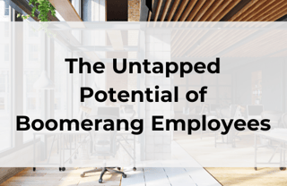Untapped Potential of Boomerang Employees Blog